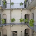 Bibo\'S House Historical Centre